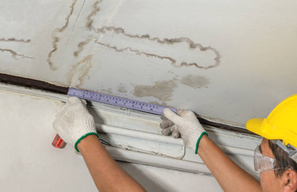 Reliable Sewage Cleanup contractor in Hillsborough, NJ by Water Damage Irwin